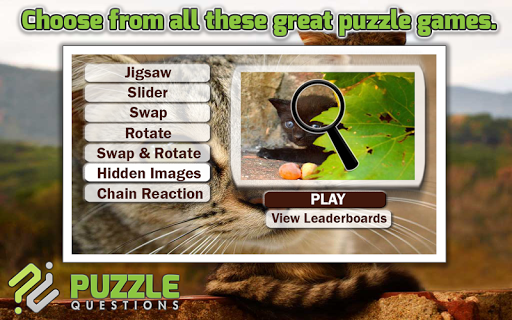 Free Kitty Cat Puzzle Games