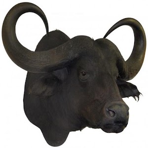 Hwange Sightings 2.0.1