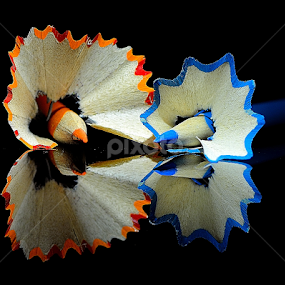 by PINAKI MITRA - Artistic Objects Education Objects