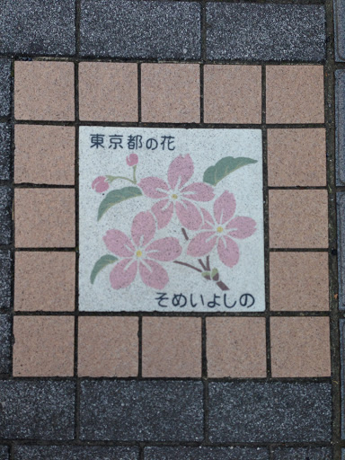 東京都の花