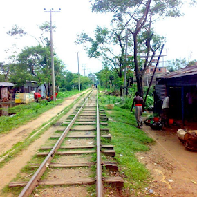 Rail Line by Sayem Arif - Nature Up Close Other Natural Objects