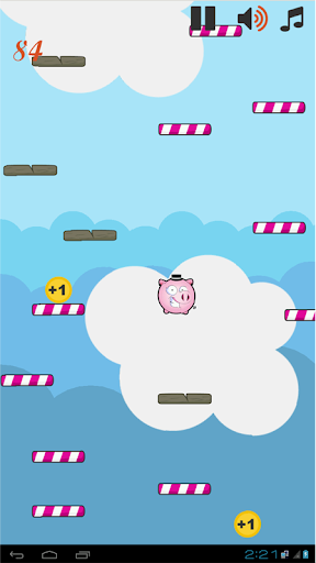 Bouncing Pig