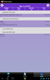 Calorie Counter Simple PRO poster 20