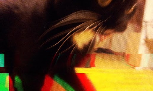 Lastest Glitch Camera 2 APK