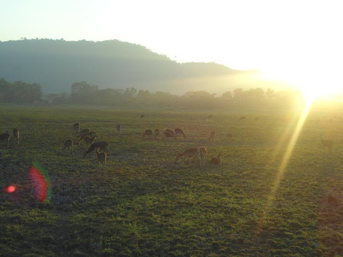 UNNATI RATHORE - HOME