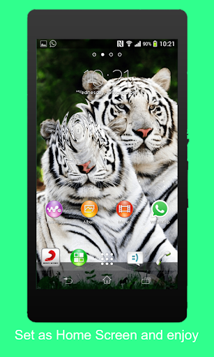 Animal 3D Live Wallpaper