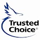 DFW Insurance Services