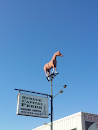 Horse in the Sky