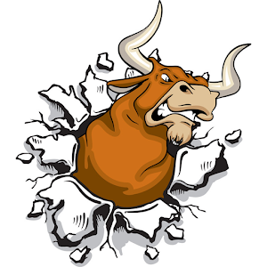 Angry Bull Run.apk 1.0