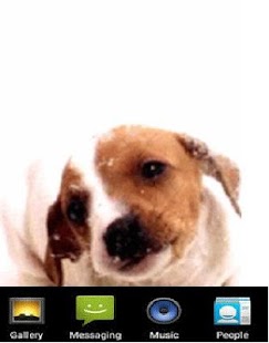 Free Dog Screen Live Wallpaper APK for Android