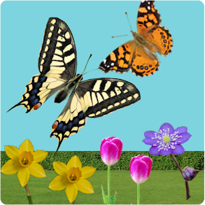 C.Butterfly spring flowers lwp logo
