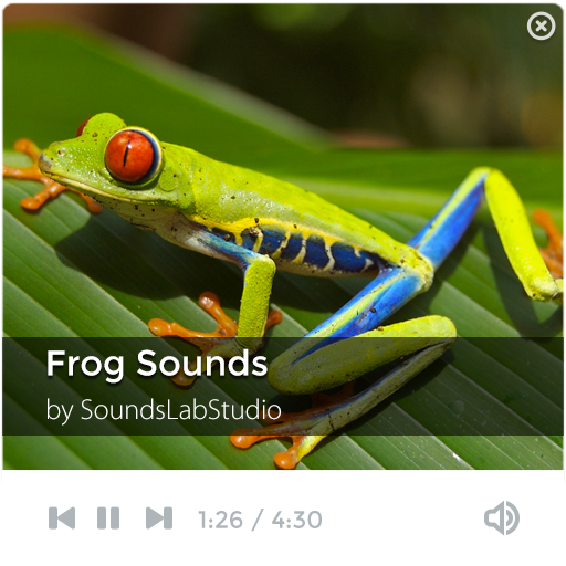 Frog Sounds