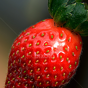 by Koento Birowo - Food & Drink Fruits & Vegetables