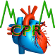 Rays First Aid CPR ABCs