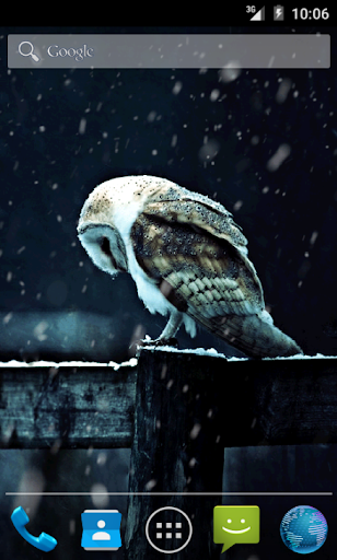 Sad Owl HD Livewallpaper