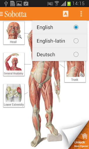 Sobotta Anatomy Atlas