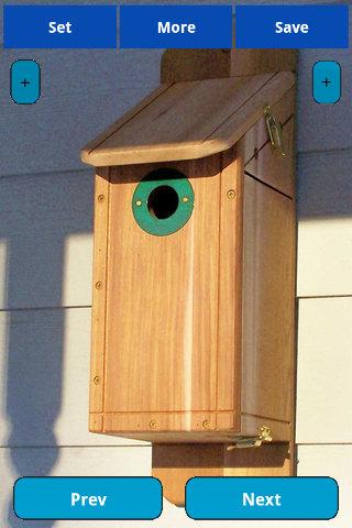 Modern birdhouse wallpapers