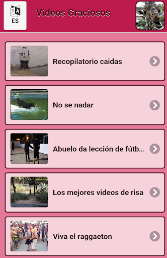 Videos Graciosos