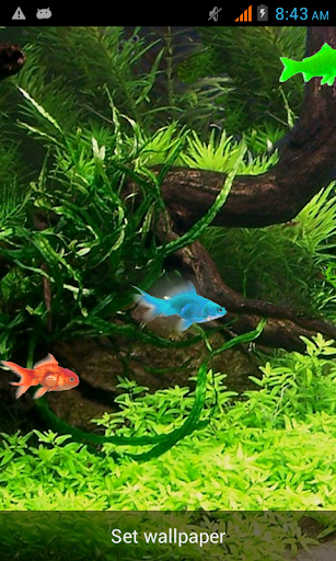 【免費個人化App】Free Aquarium Live Wallpaper-APP點子