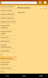 English Multiple Languages poster 11