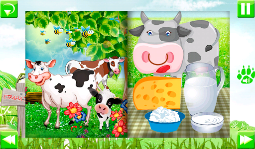 Animals on farm 2