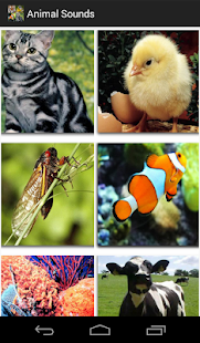 How to download Animal Sounds for Kids lastet apk for android