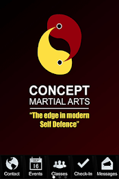 Concept Martial Arts poster 6