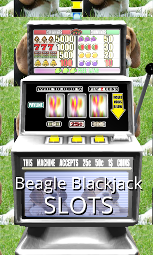 3D Beagle Blackjack Slots