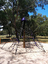 Spiderweb Playground 