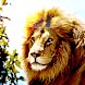 Africa