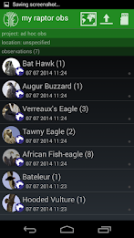 African Raptor Observations poster 8