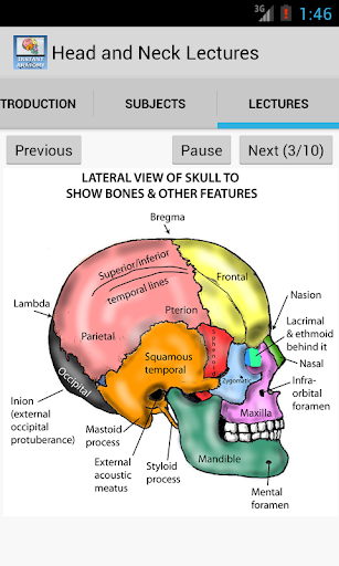 Head and Neck Lectures