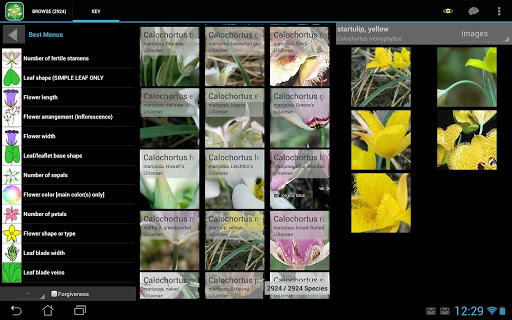 免費下載生活APP|2800 S. California Wildflowers app開箱文|APP開箱王