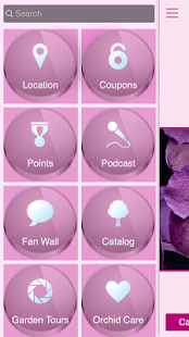 RF Orchids Screenshots 9