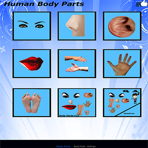 Body Parts - 8 Languages