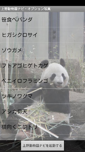 上野動物園ナビ 動物カメラオプション（１）