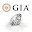 GIA 4Cs Guide Download on Windows