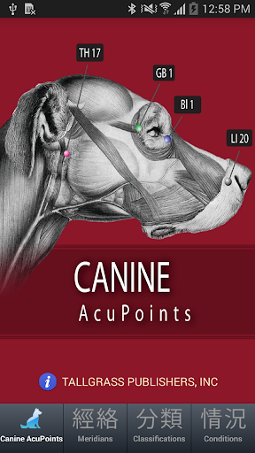 Canine AcuPoints