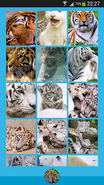 Animal Wallpapers poster 6