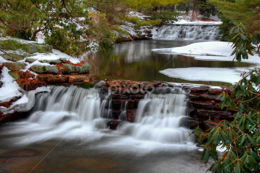 At Hickory Run State Park by Dave Martin - Landscapes Weather