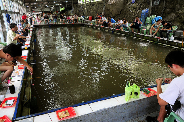 外雙溪‧車輪釣蝦場