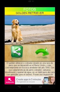 GOLDEN RETRIEVER Screenshots 3