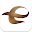 Encounter God Download on Windows