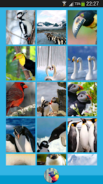 Animal Wallpapers poster 4