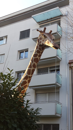 Garten Giraffe