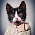 Meow: Cat Animal Face icon