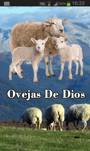 Ovejas De Dios