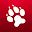 Northeastern Alumni Network Download on Windows