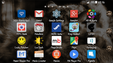 Leopard Xperien Theme poster 12