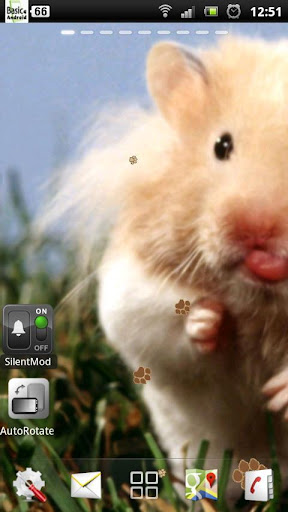 live hamster wallpapers